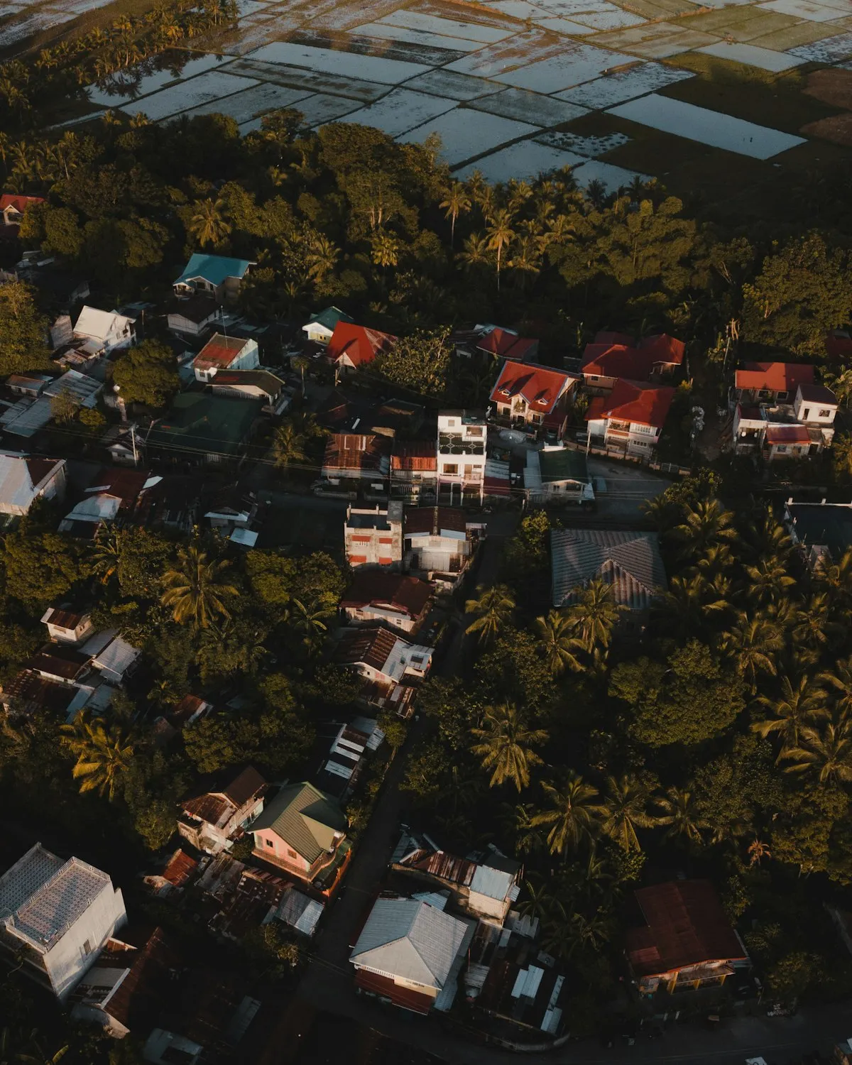 Aerial view of houses in a residential area